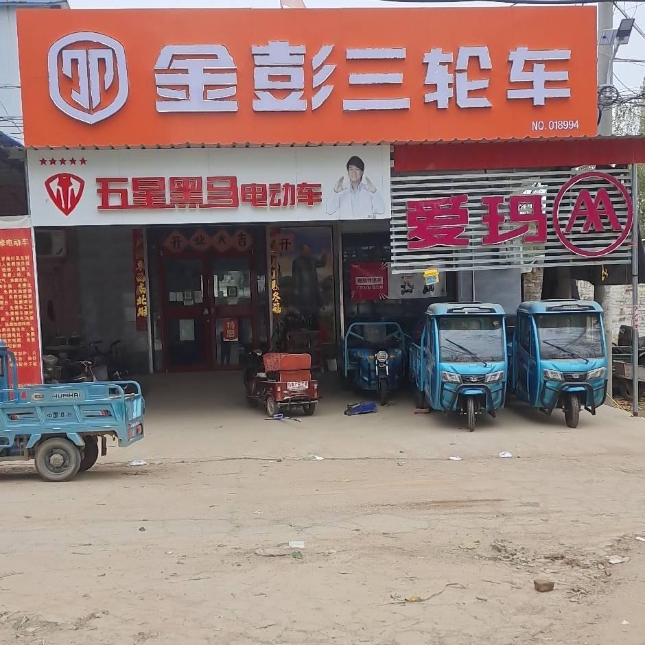 马集大飞车业