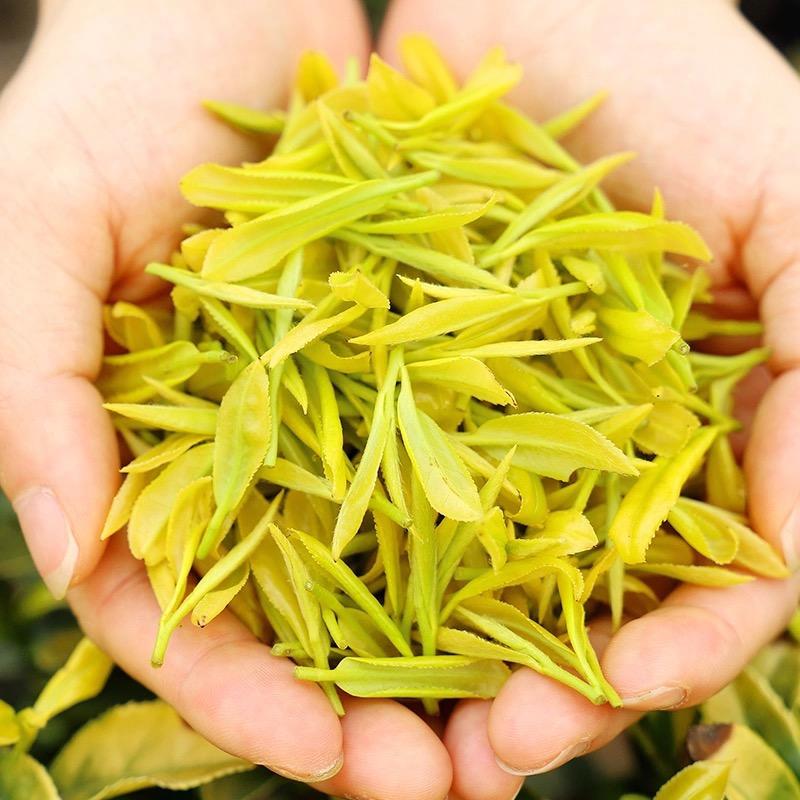 朵韵香茶业