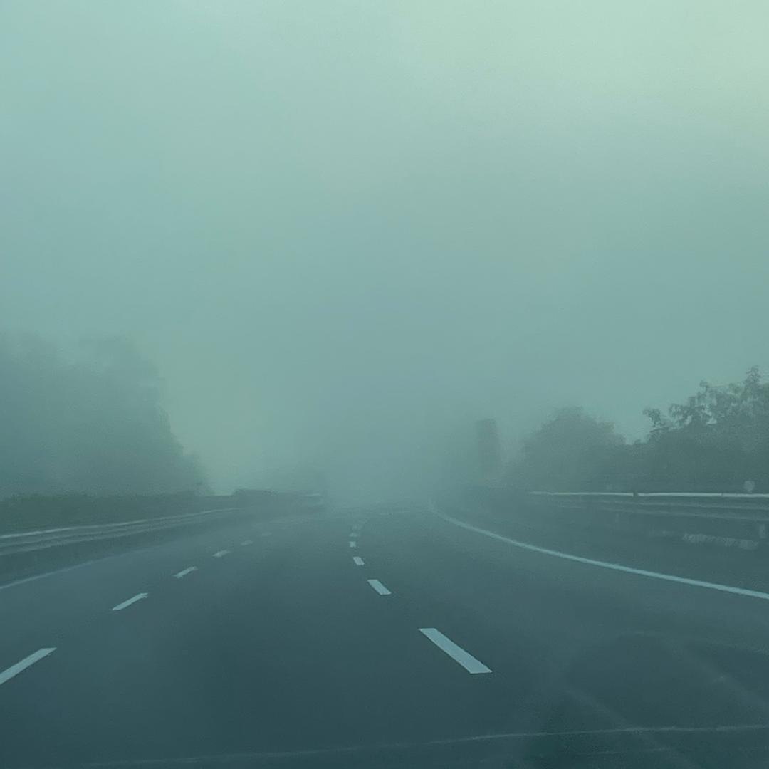 三宝贝（好物分享）