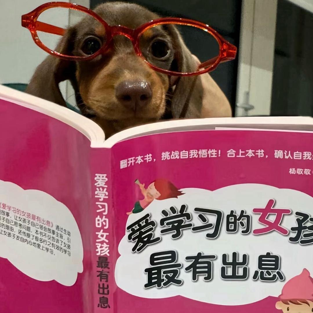 （一金苹果派）24.0