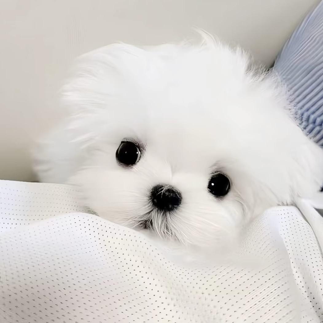 我知道了