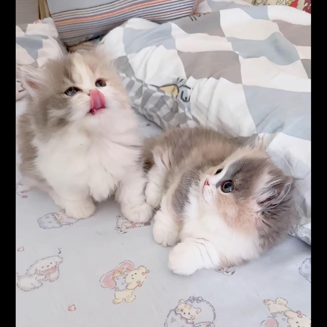 .点点