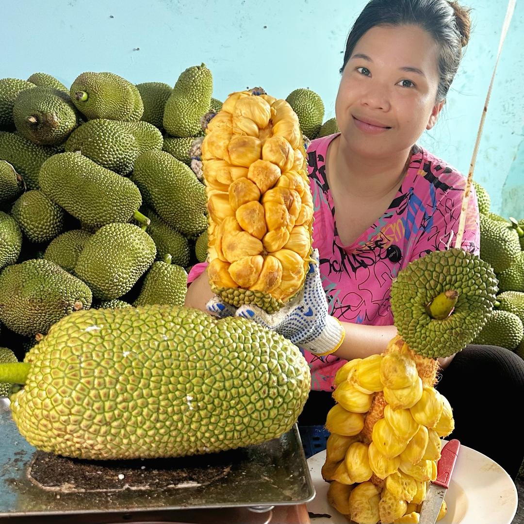 琼岛婷姐