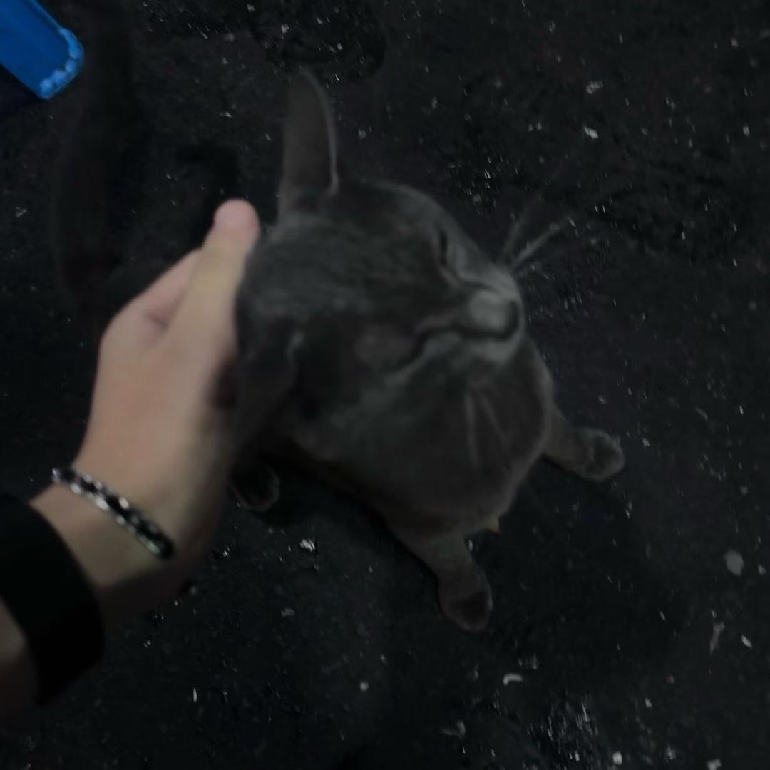 笨蛋吗❤️