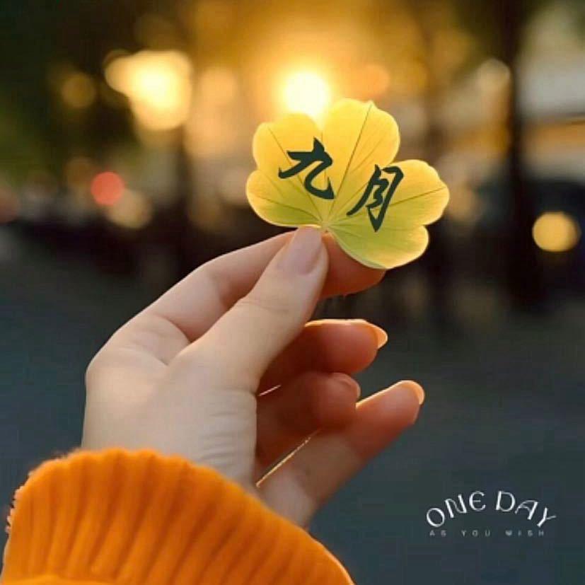 玲姐🌻🌻
