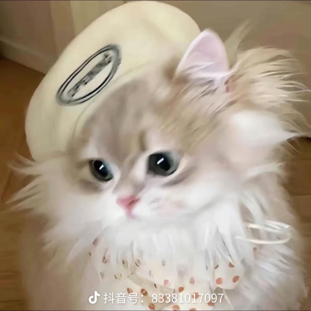 静瑶雨若