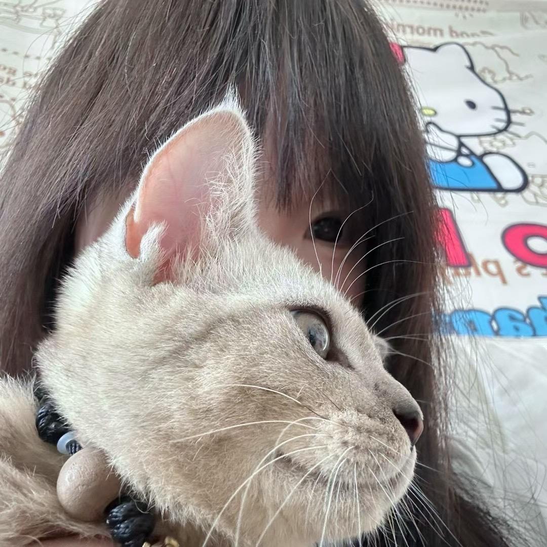 😿