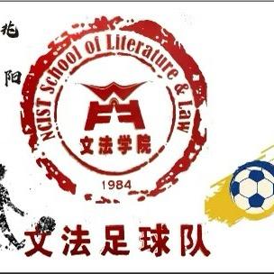 应大文小足(2026十系版）