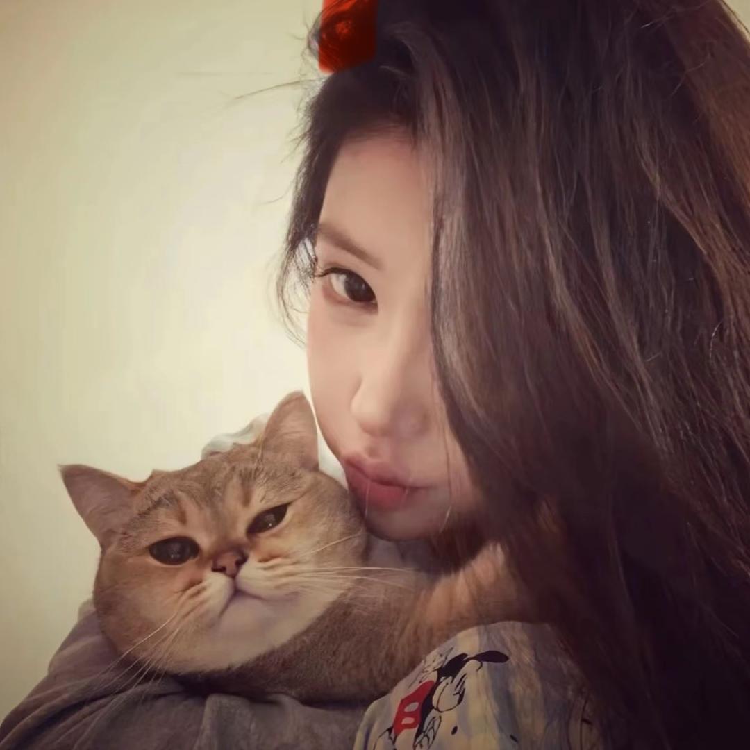 摇yy