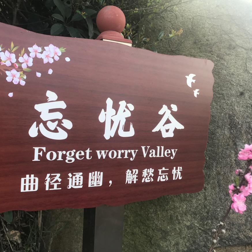 南山飞鹰🦅