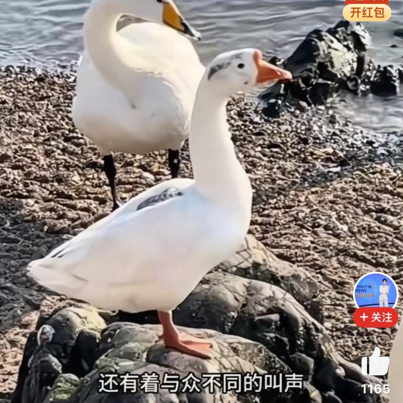 用户6027728005999