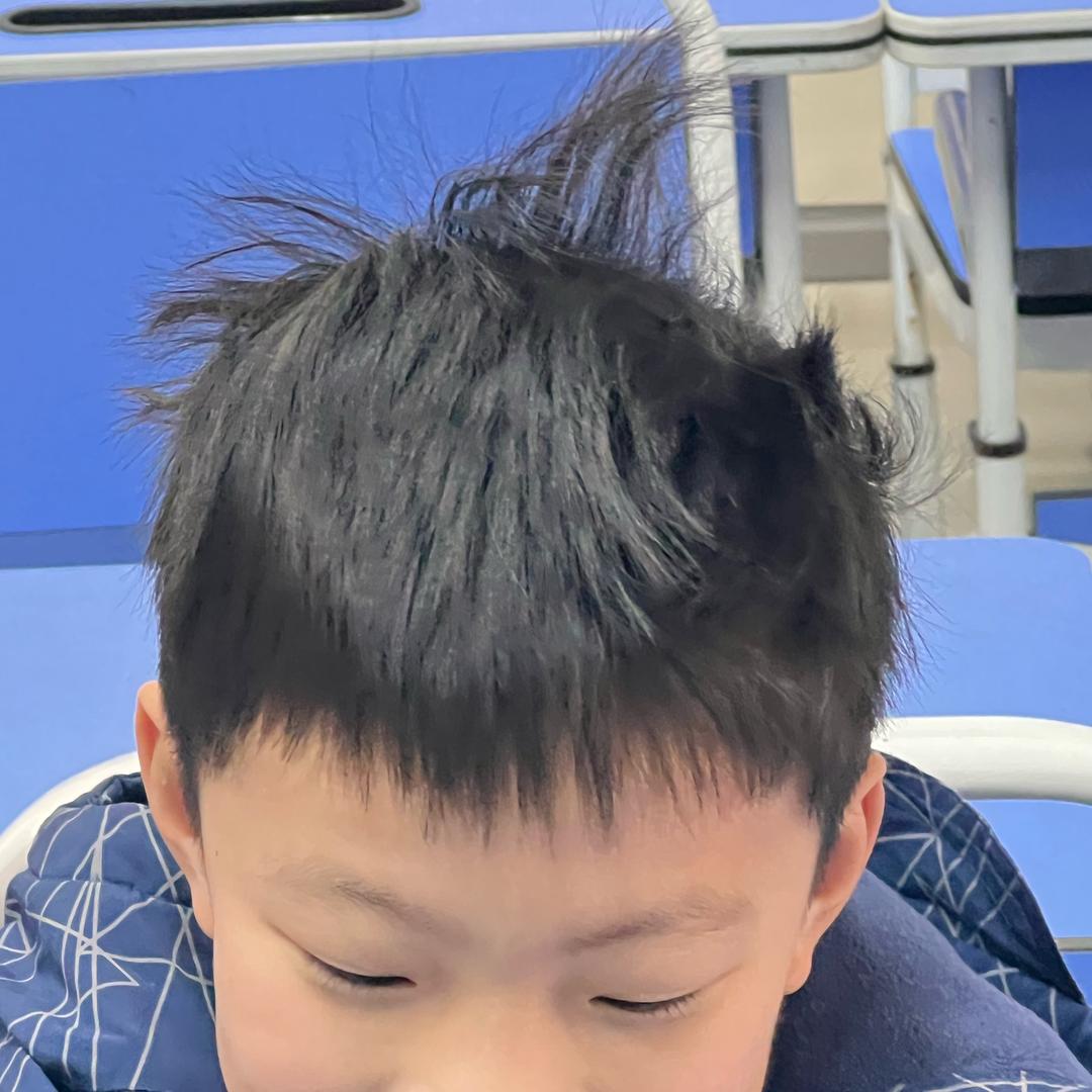 吴迪