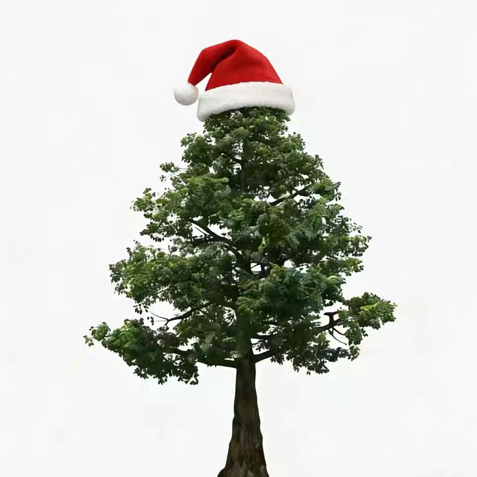 一颗树(减肥版)