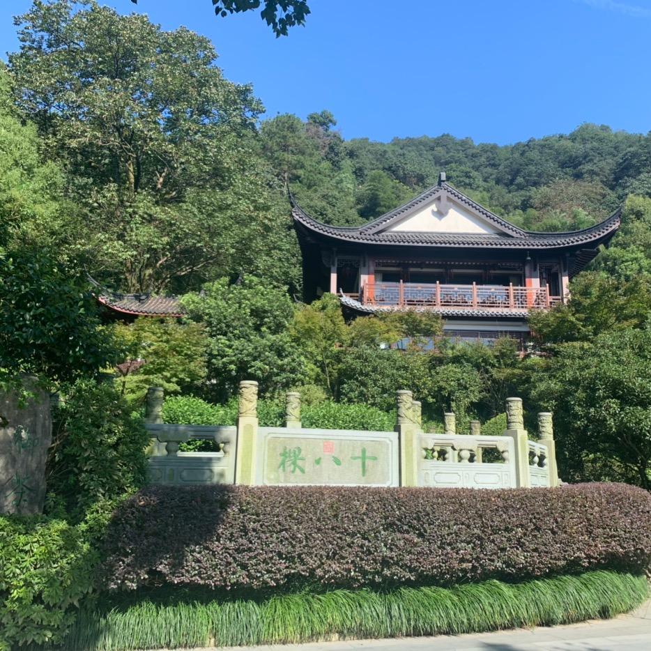 十八棵御茶—乾隆爷最爱