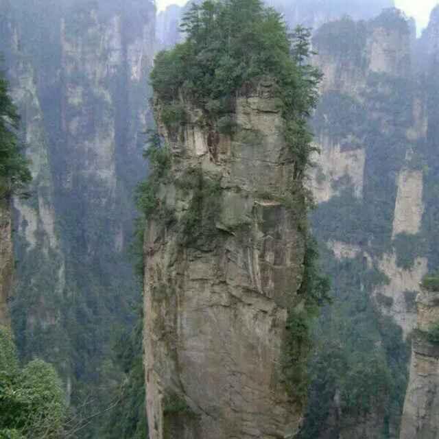 港城王爷