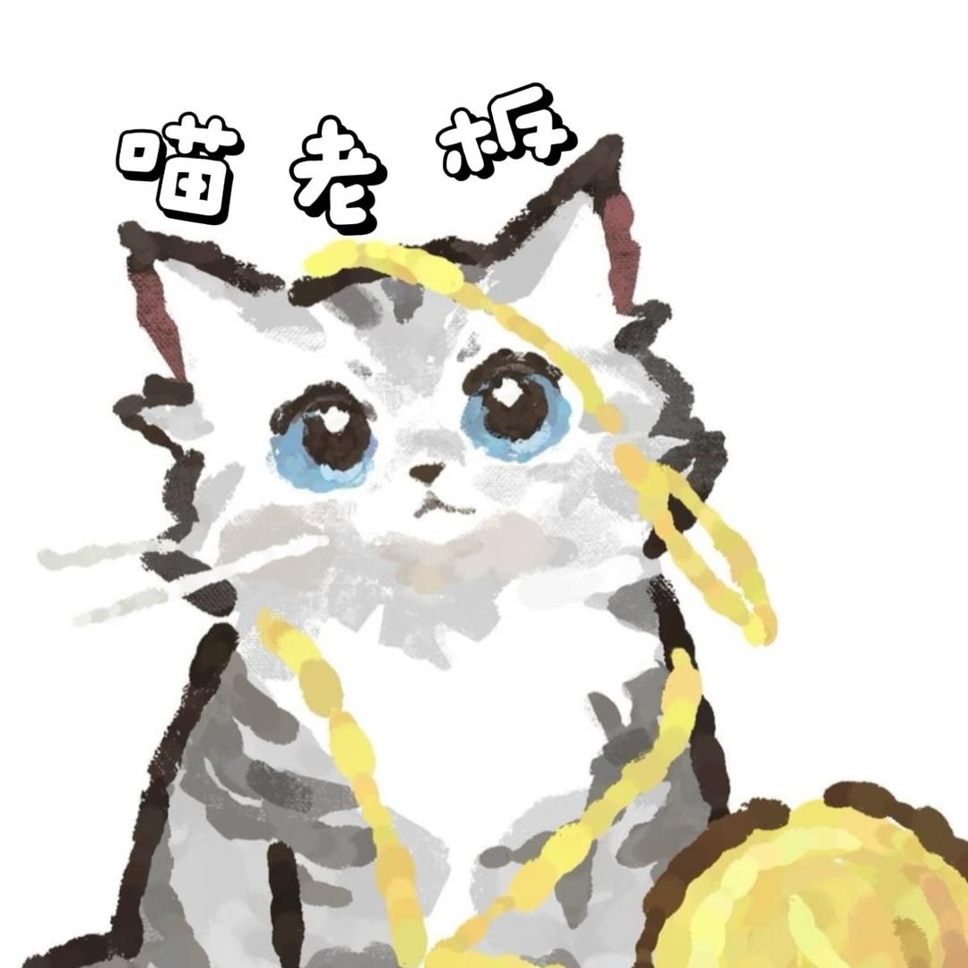 喵老板甄选