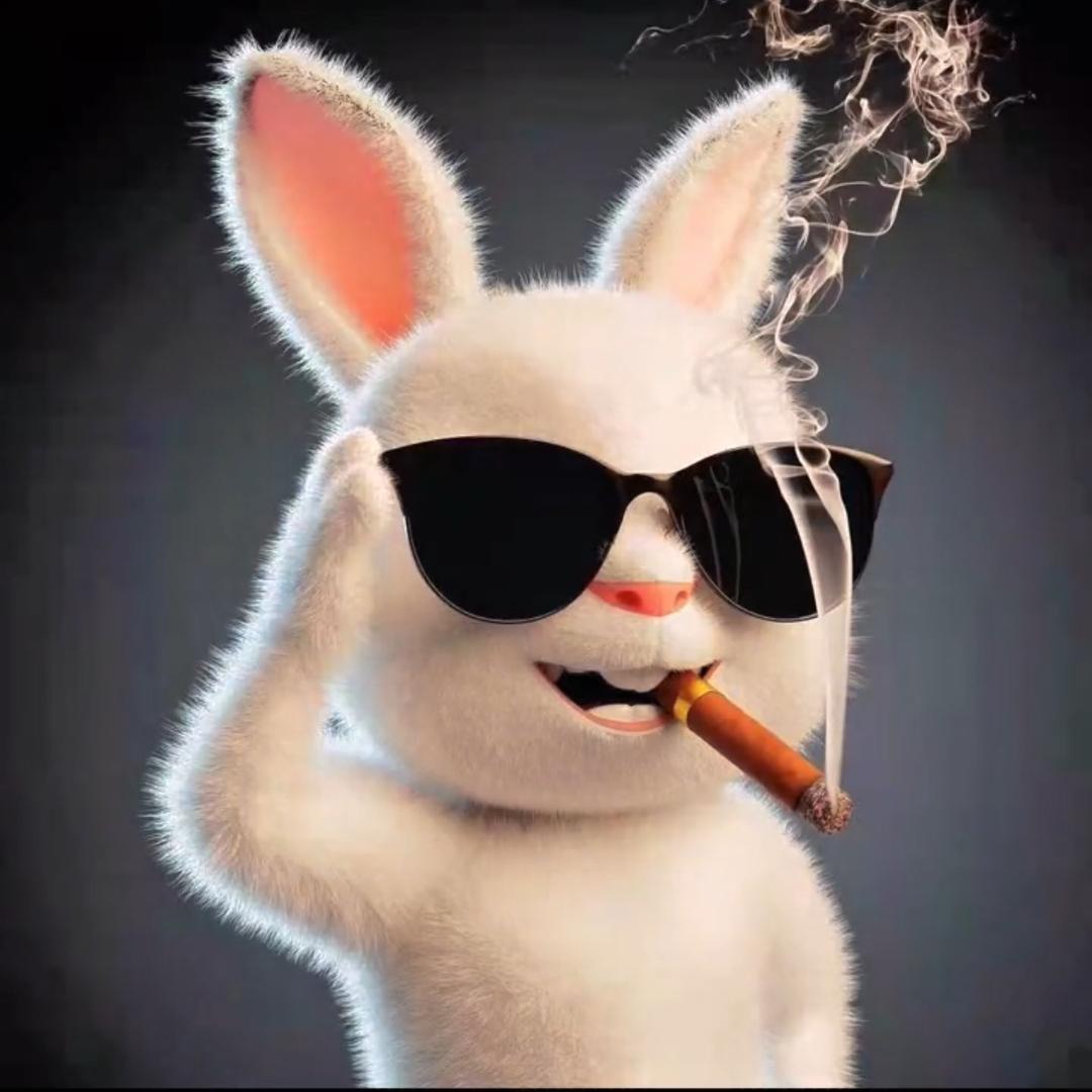 王g《开心就是玩》