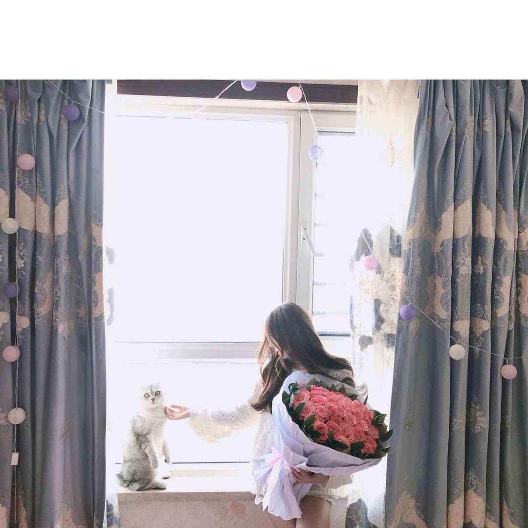 🌈不高兴与没头脑