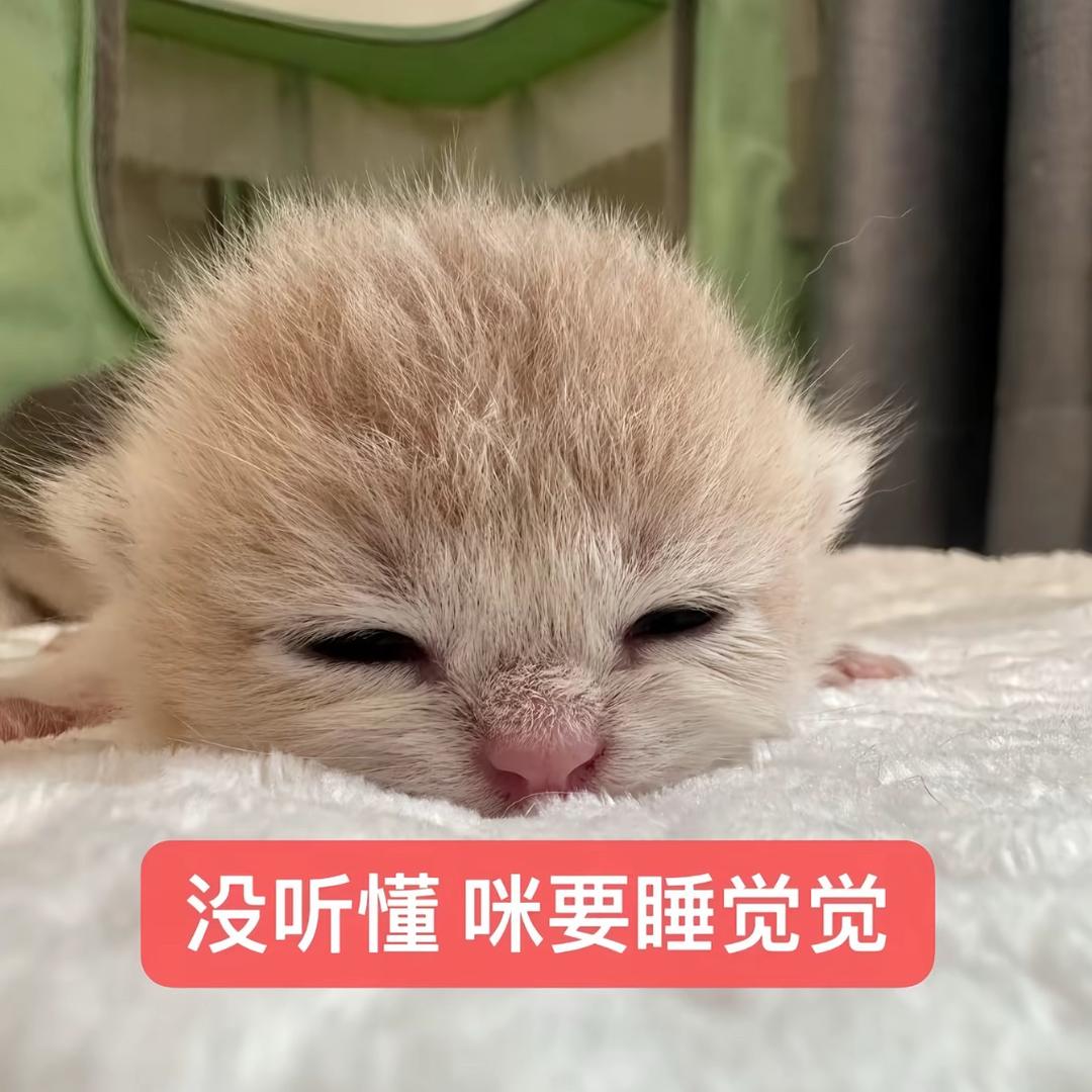 小北