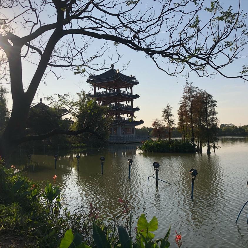 东海