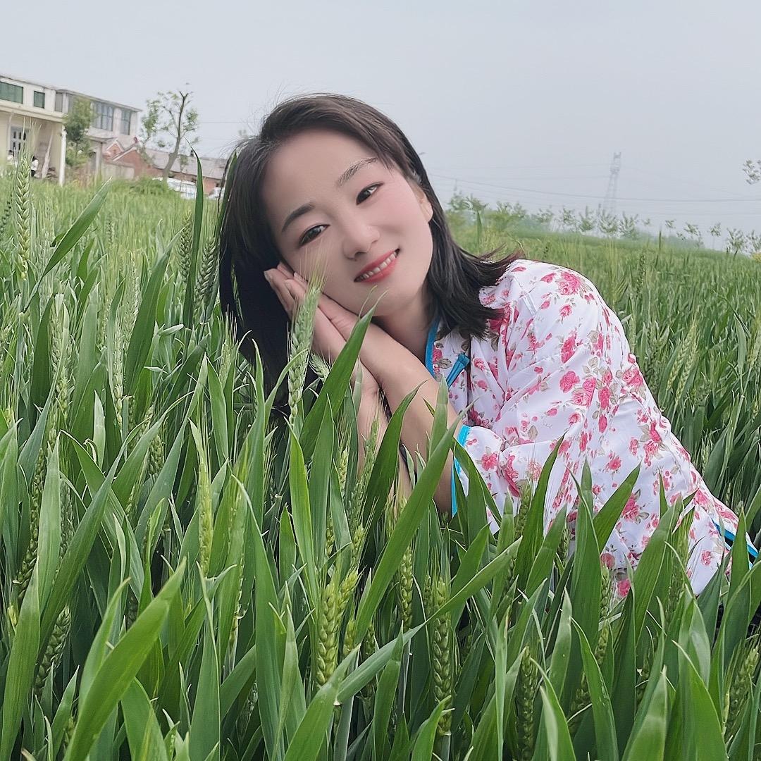 农村麦苗（中午十一点开播）