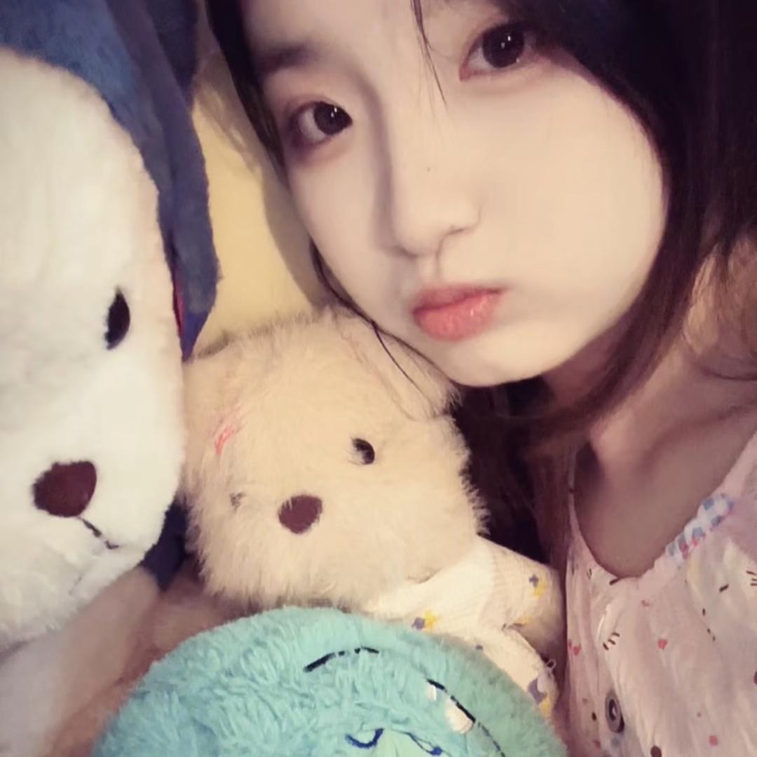 芒果小狗