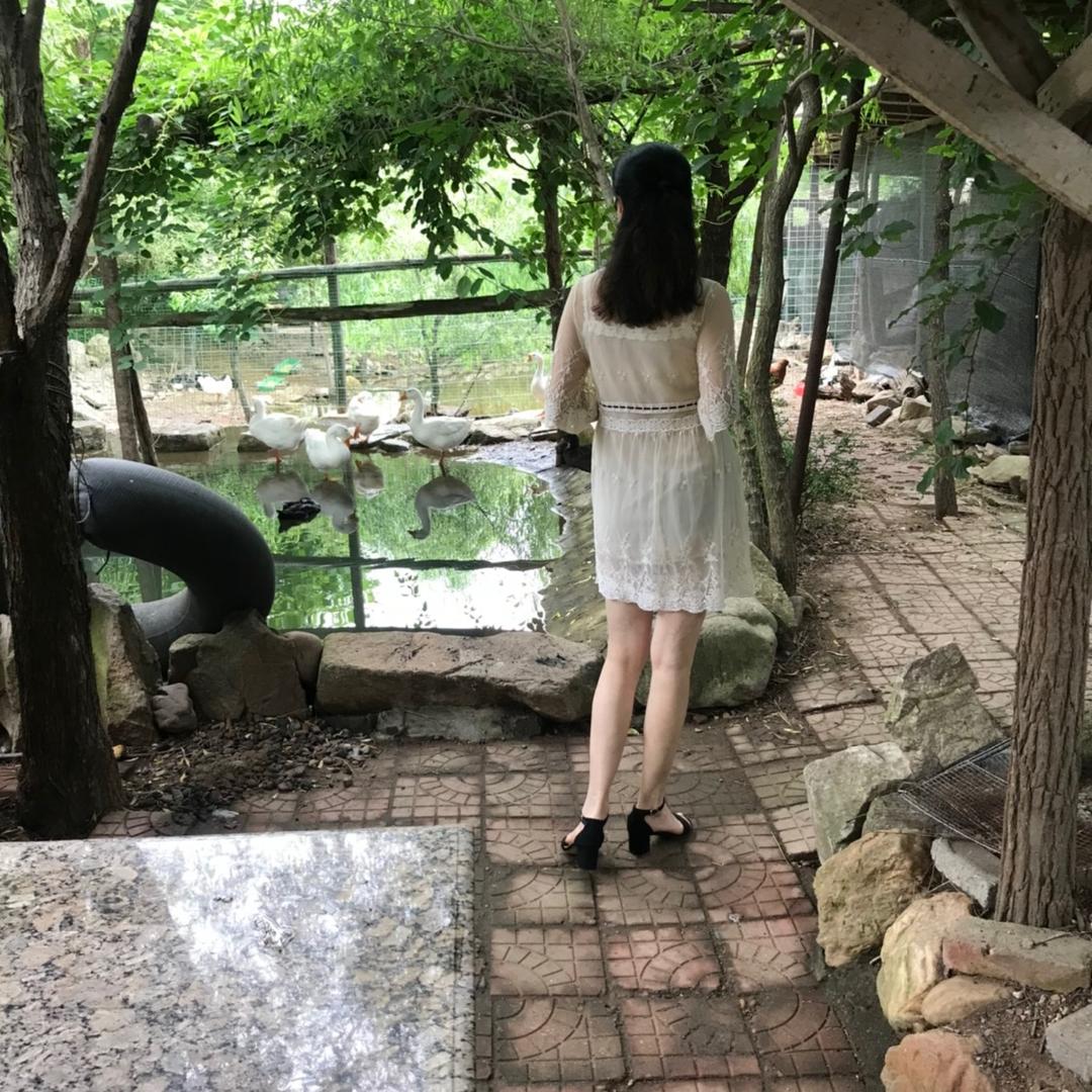 竹林听雨的萌宠乐园