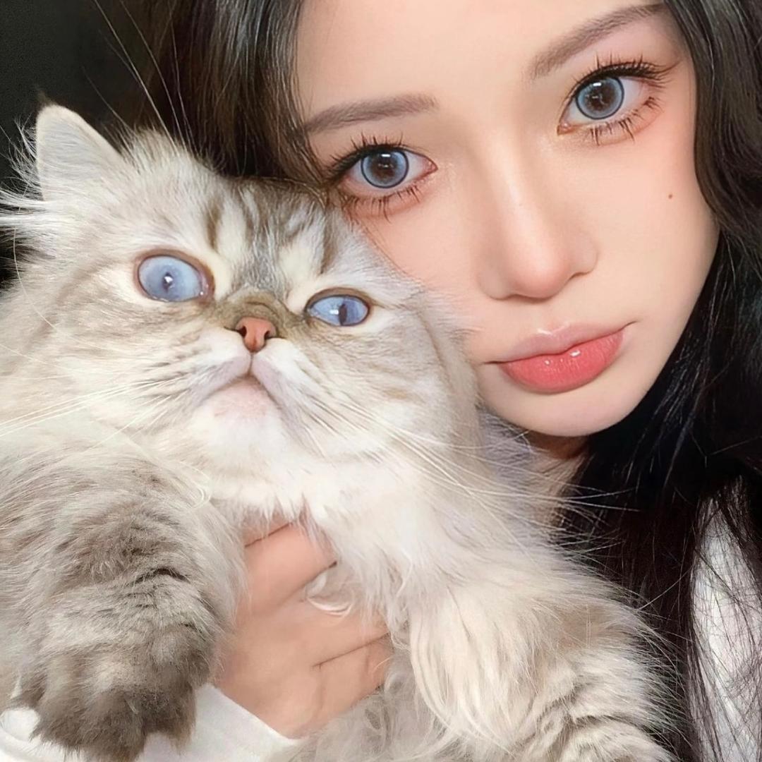 小迪碎碎念