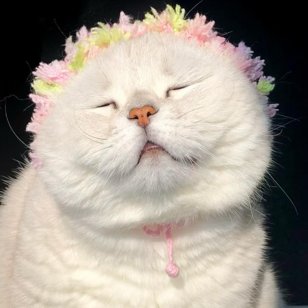 牛牛