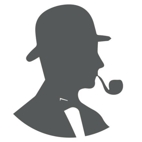 河南助豫侦探执行公司