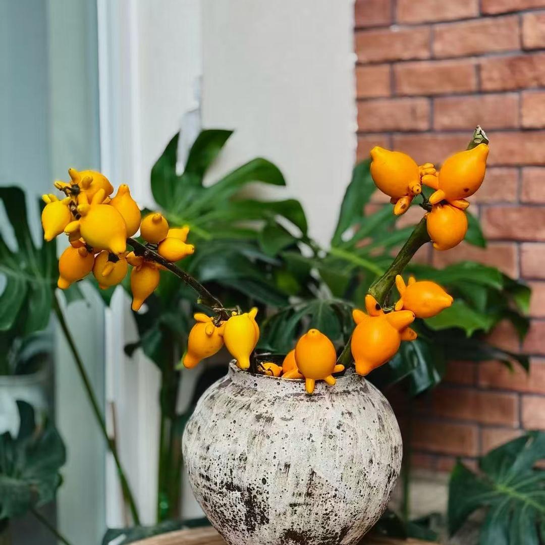 管道粉碎研磨剪切分散混合反应乳化均质机器