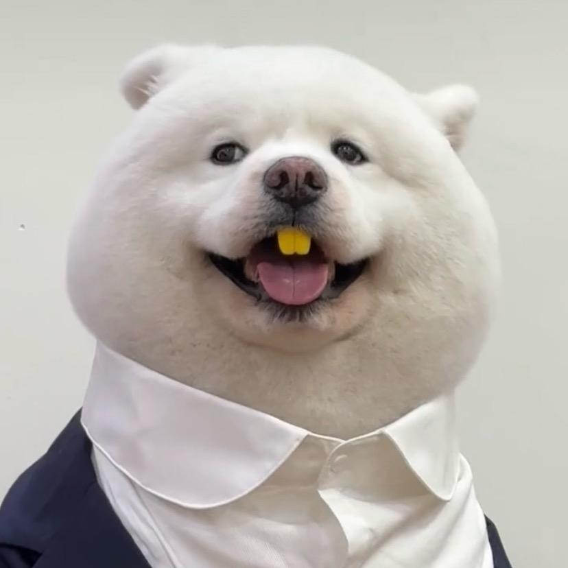 王多渔