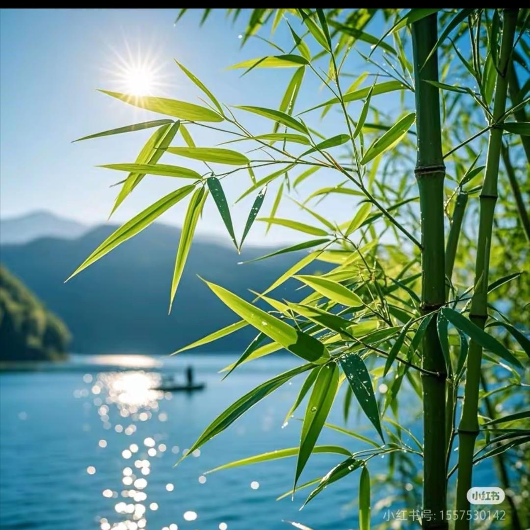 天青海（进⭕️分享版）