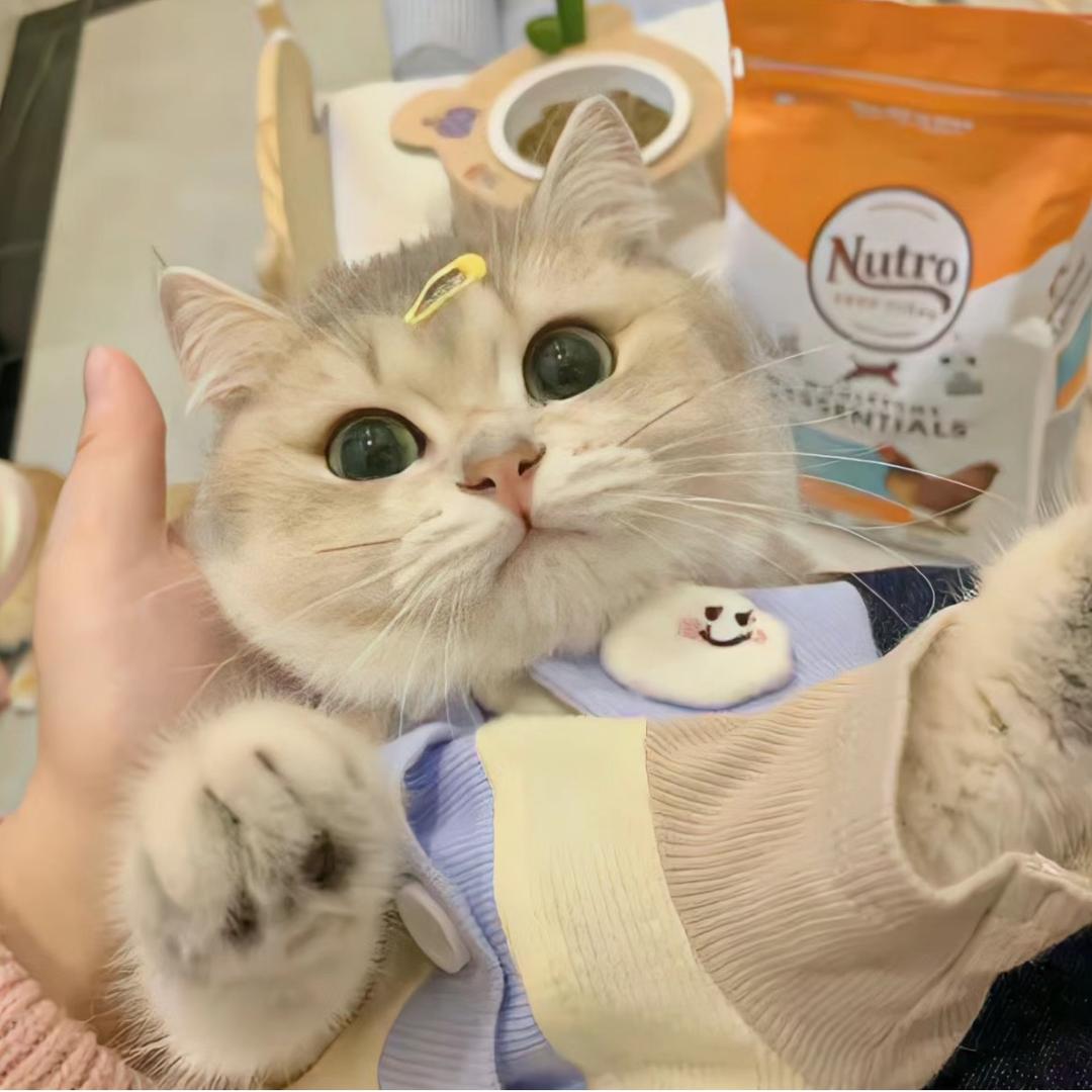 不吃香菜ww
