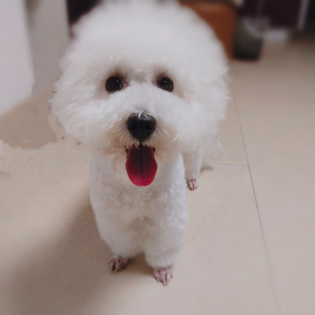 @暴躁的赛亚人'