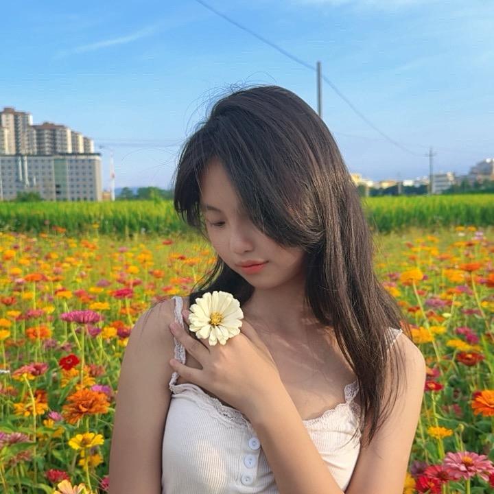 阿巴阿巴王