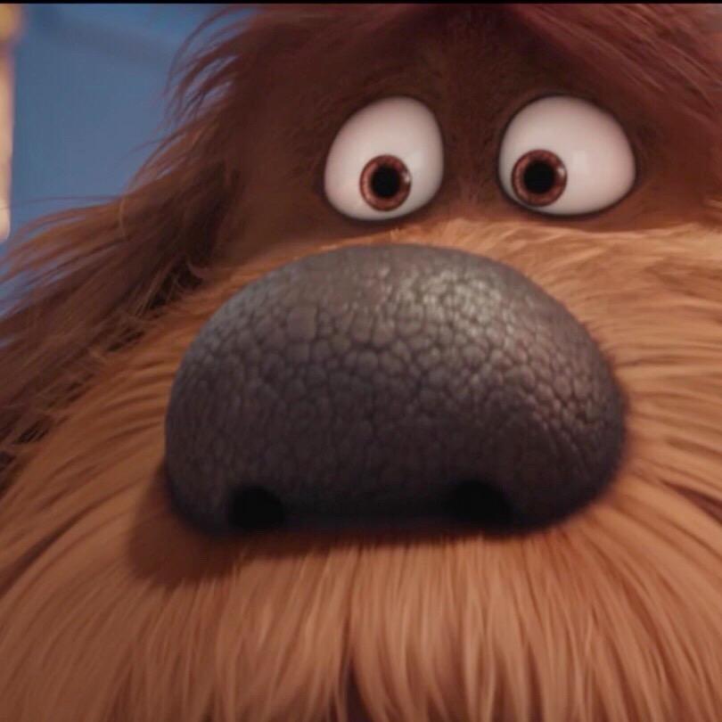 一条鱼宠物用品店