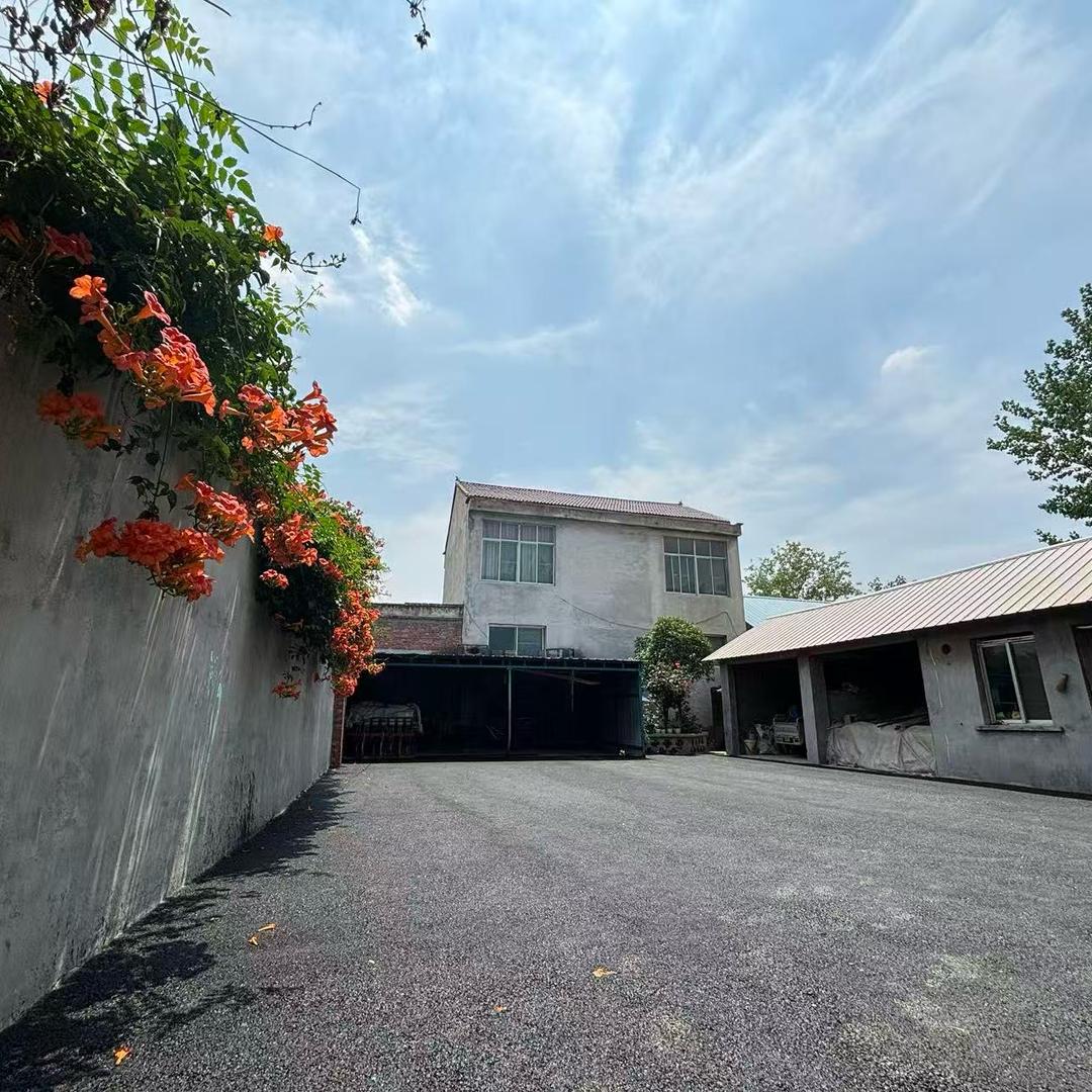 蒙城沥青路摊铺队（联赢2）