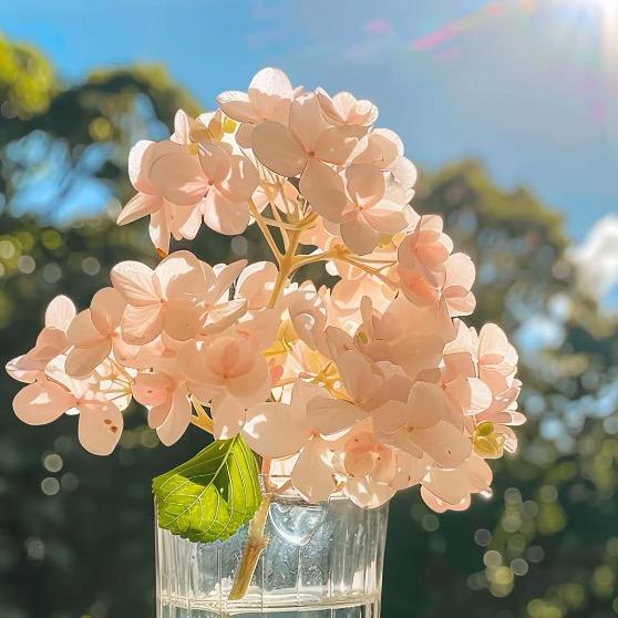 (奇东)等时间嘉许