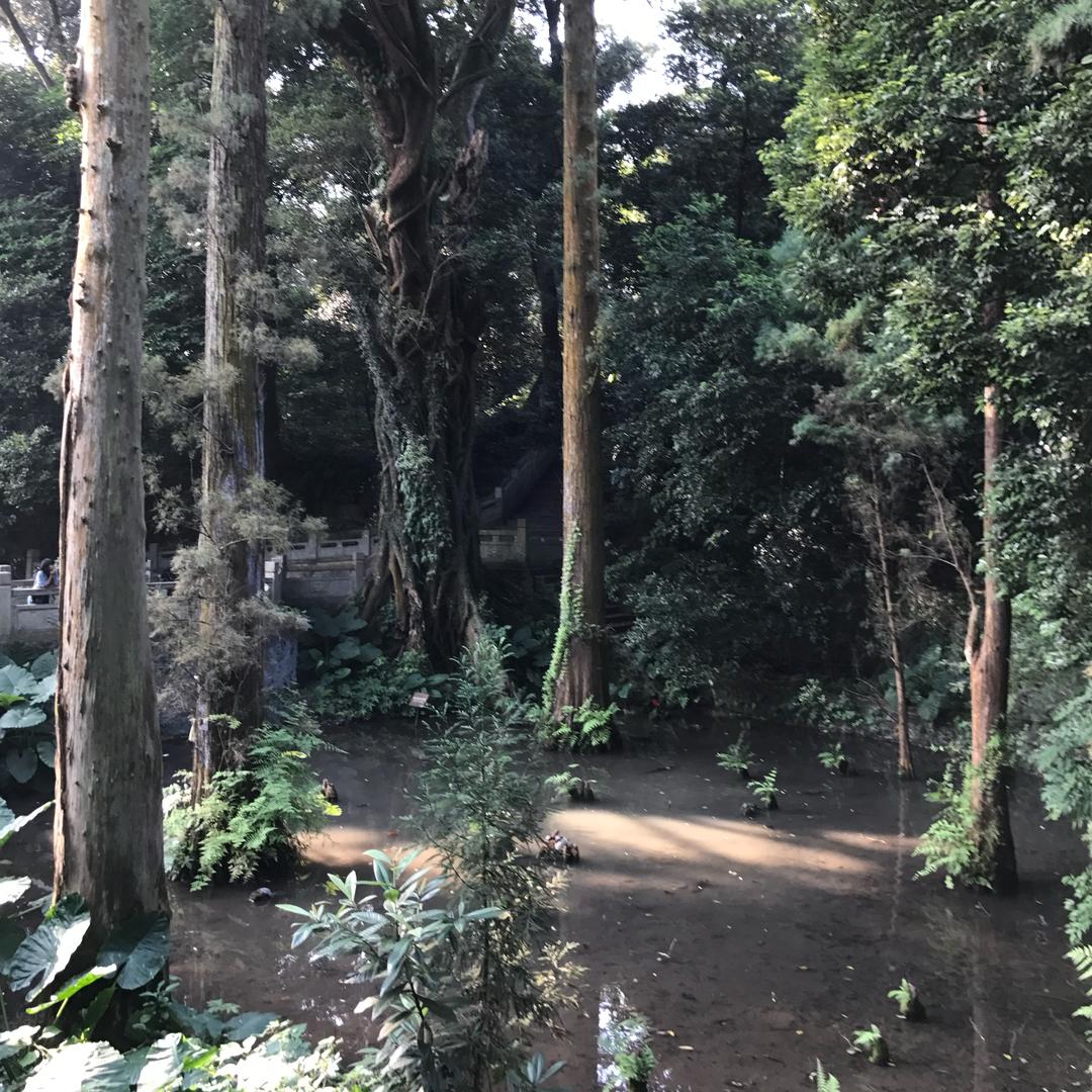 杨永惠