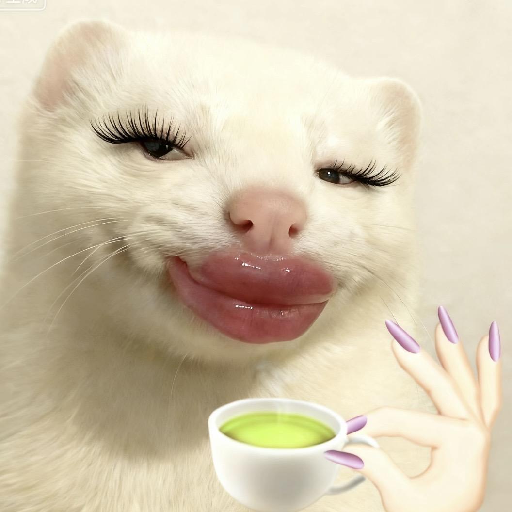 呆呆历