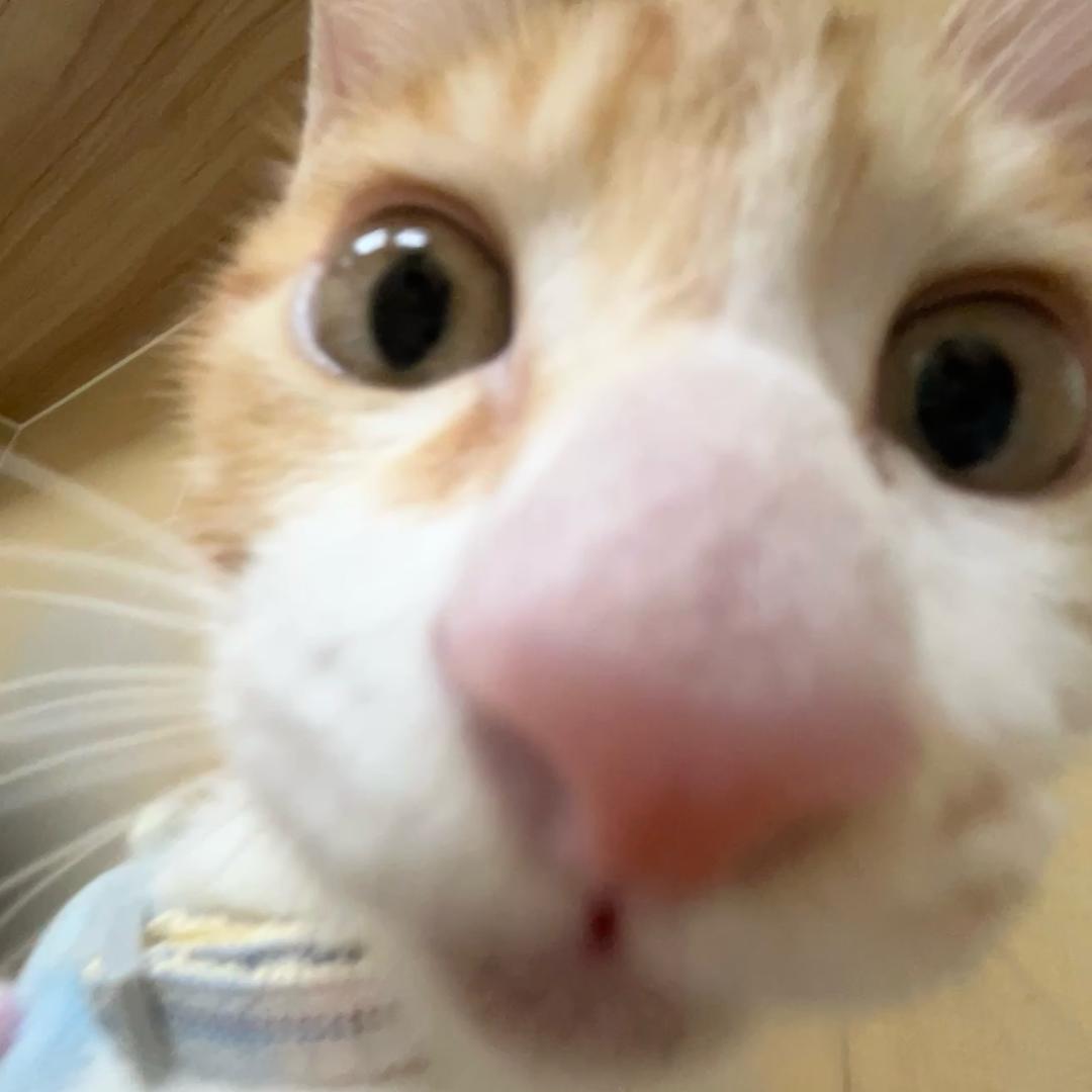 55566