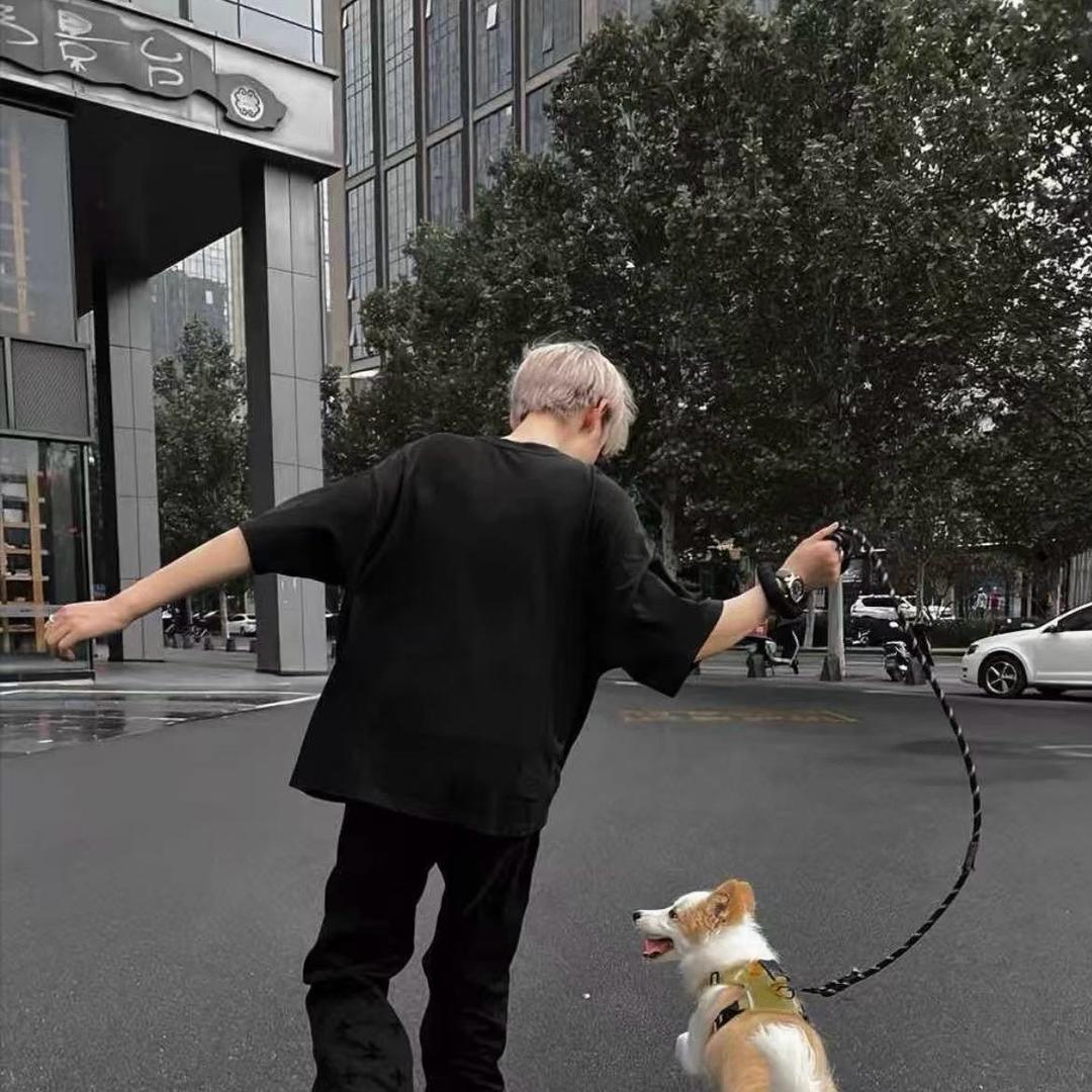 ㅤ谁研究的牙痛呢