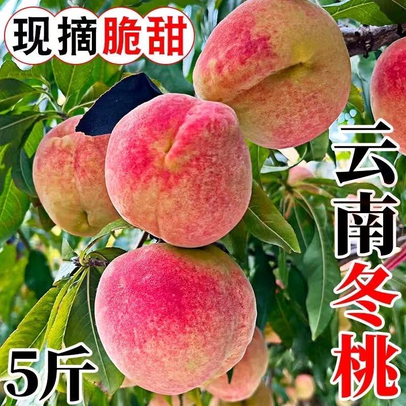 大理何氏果业