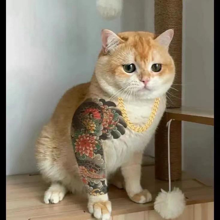 春风得意马蹄疾