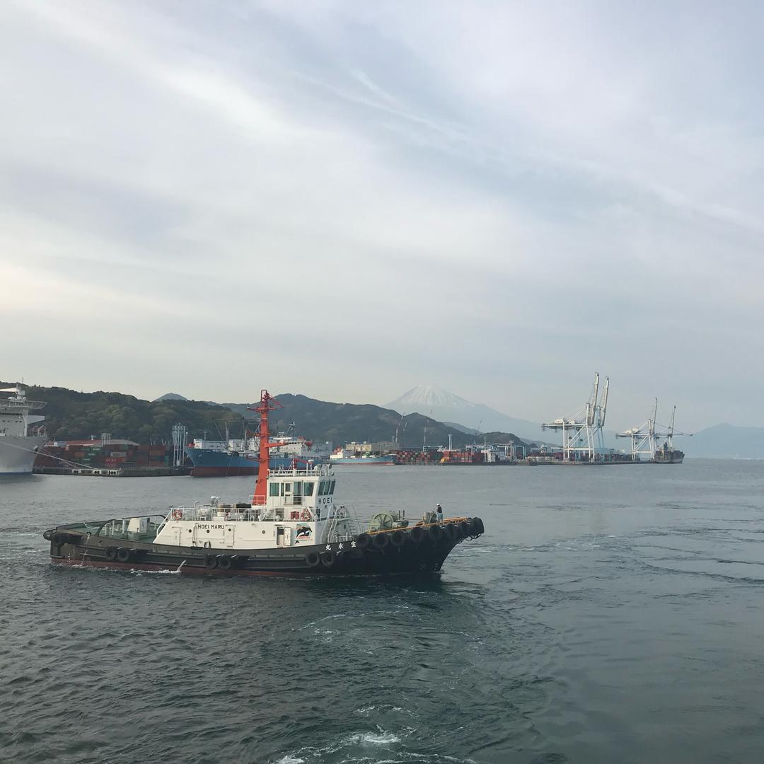 追风的草