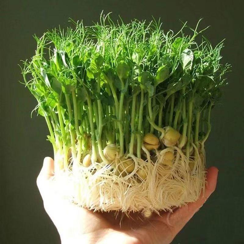 天企诚食品华中仓