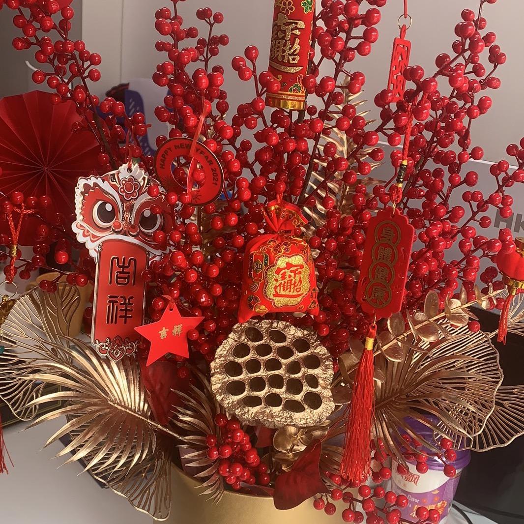 摸鱼的猫