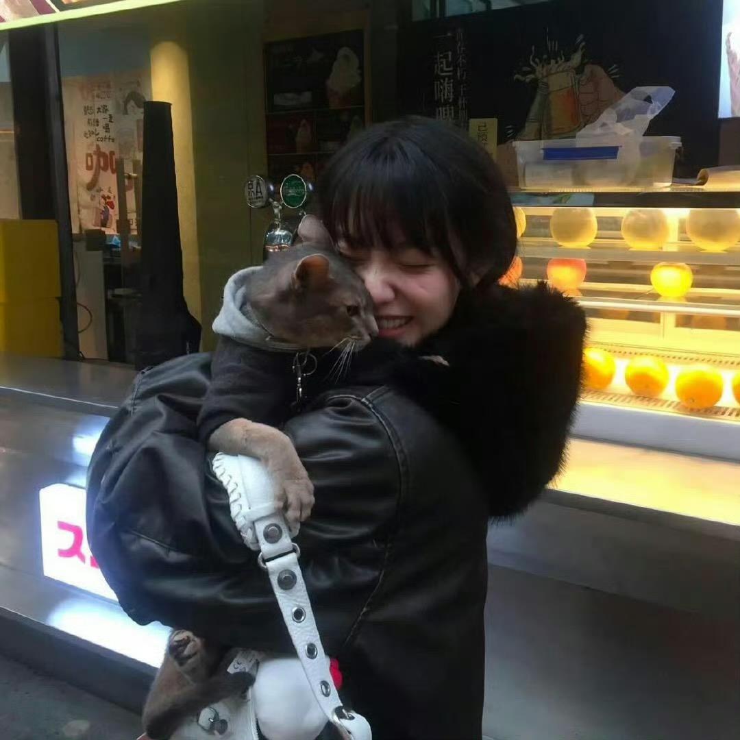 馄炖脑袋