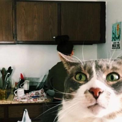 🍅西红柿打卤面